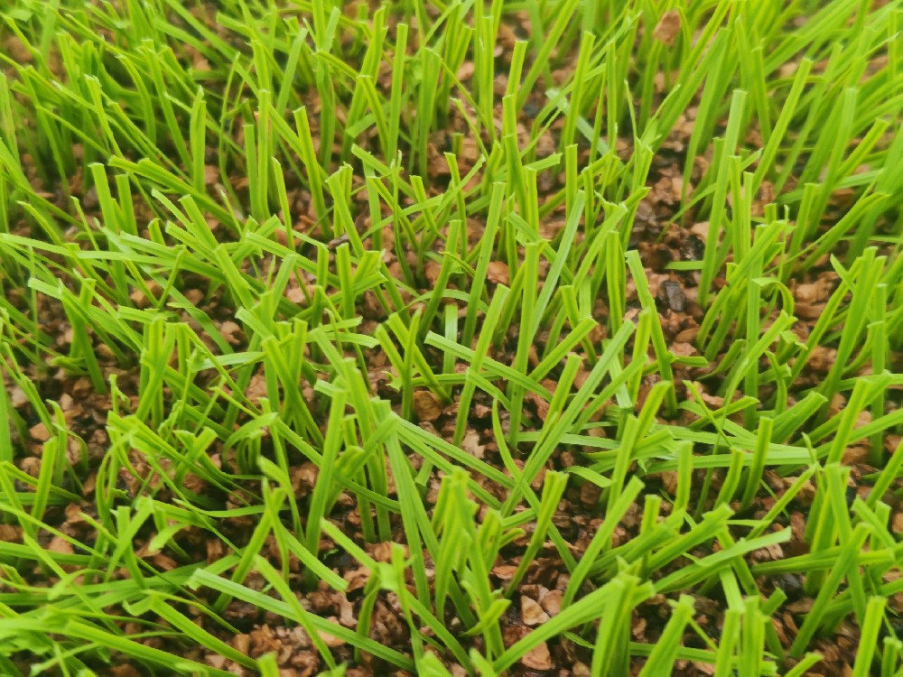 給孩子的校園一份安心守護(hù) —— 植物基草坪填充顆粒